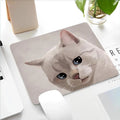Tapis de bureau amusant Chien et Chat