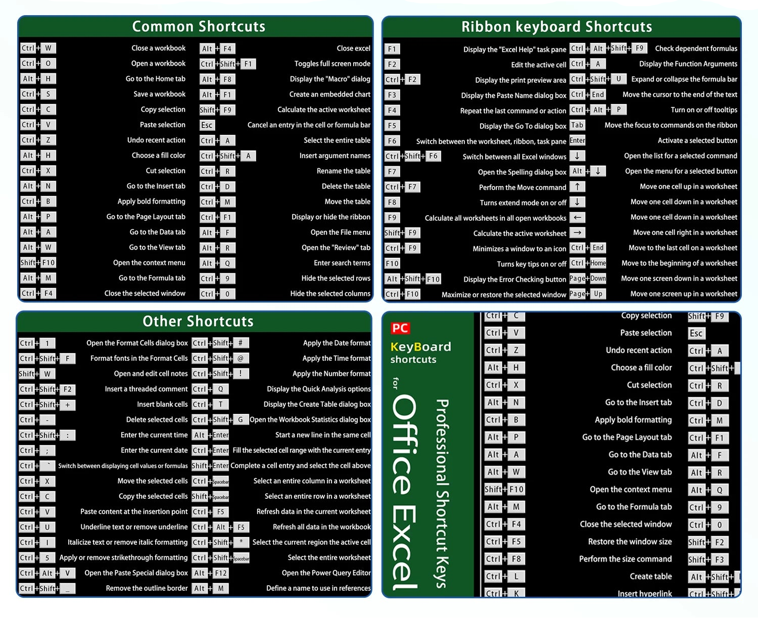 Tapis 100% Excel Shortcuts