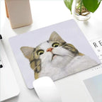 Tapis de bureau amusant Chien et Chat